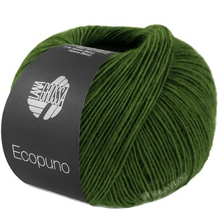 Lana Grossa ECOPUNO