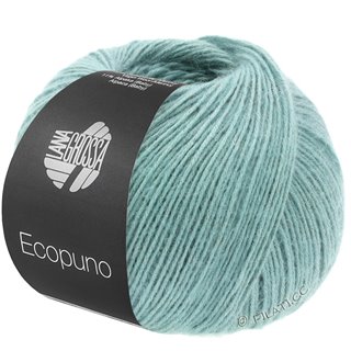 Lana Grossa ECOPUNO
