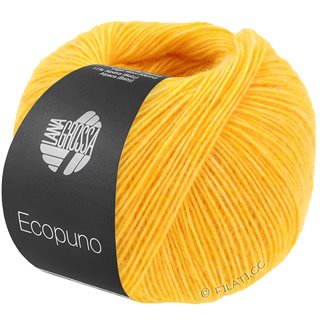 Lana Grossa ECOPUNO